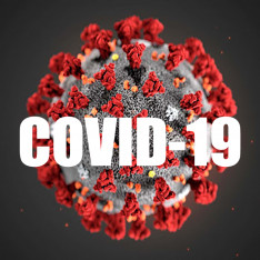 COVID19 copie.jpg